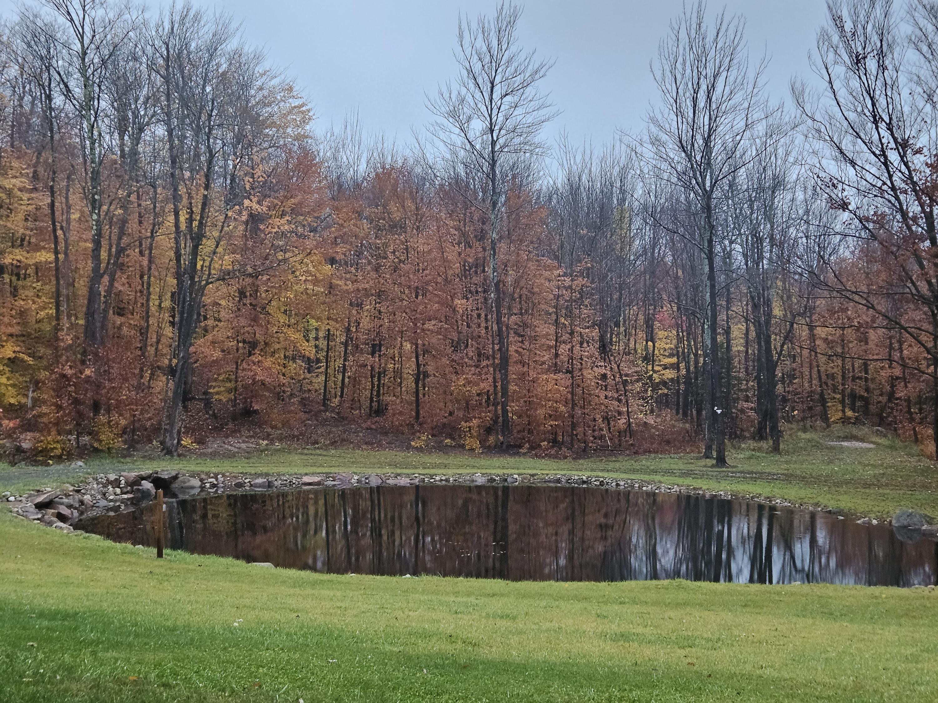 58 Hewitt Road St. Regis Falls NY 12980