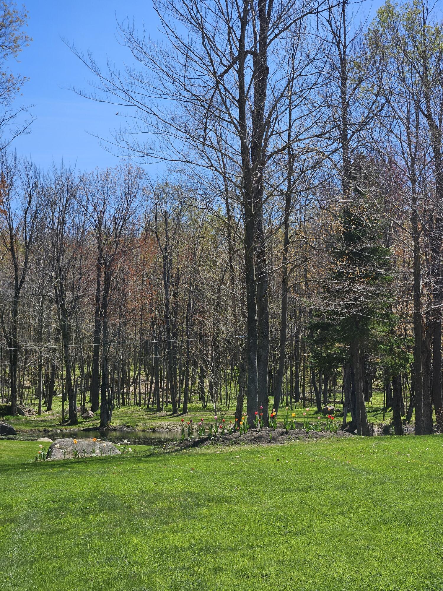 58 Hewitt Road St. Regis Falls NY 12980
