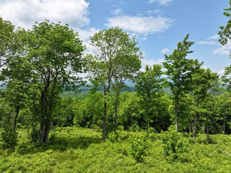 733 Ore Bed Road Black Brook NY 12912