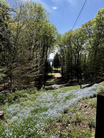 40 Woodland Lane Saranac Lake NY 12983