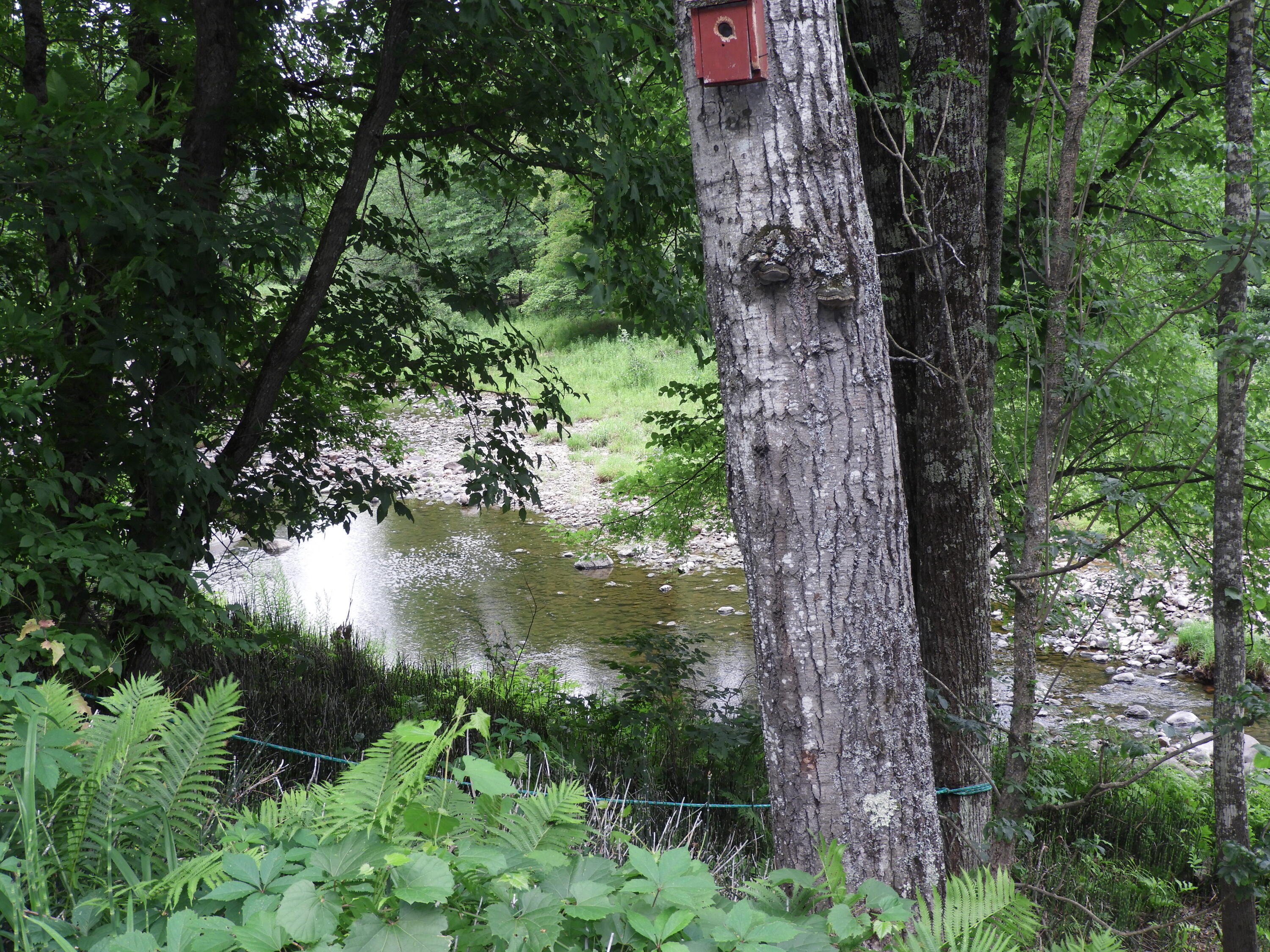 391 Sheldrake Road Au Sable Forks NY 12912