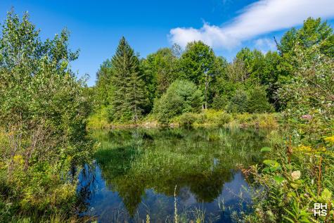 288 Pup Hill Road Saranac NY 12981