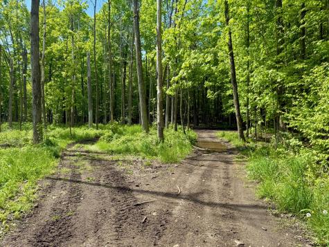 13 Boas Road Mooers Forks NY 12959