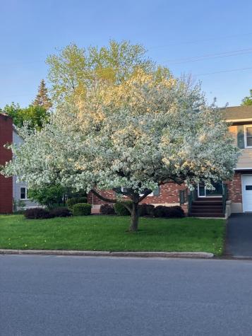 61 Cogan Avenue Plattsburgh NY 12901