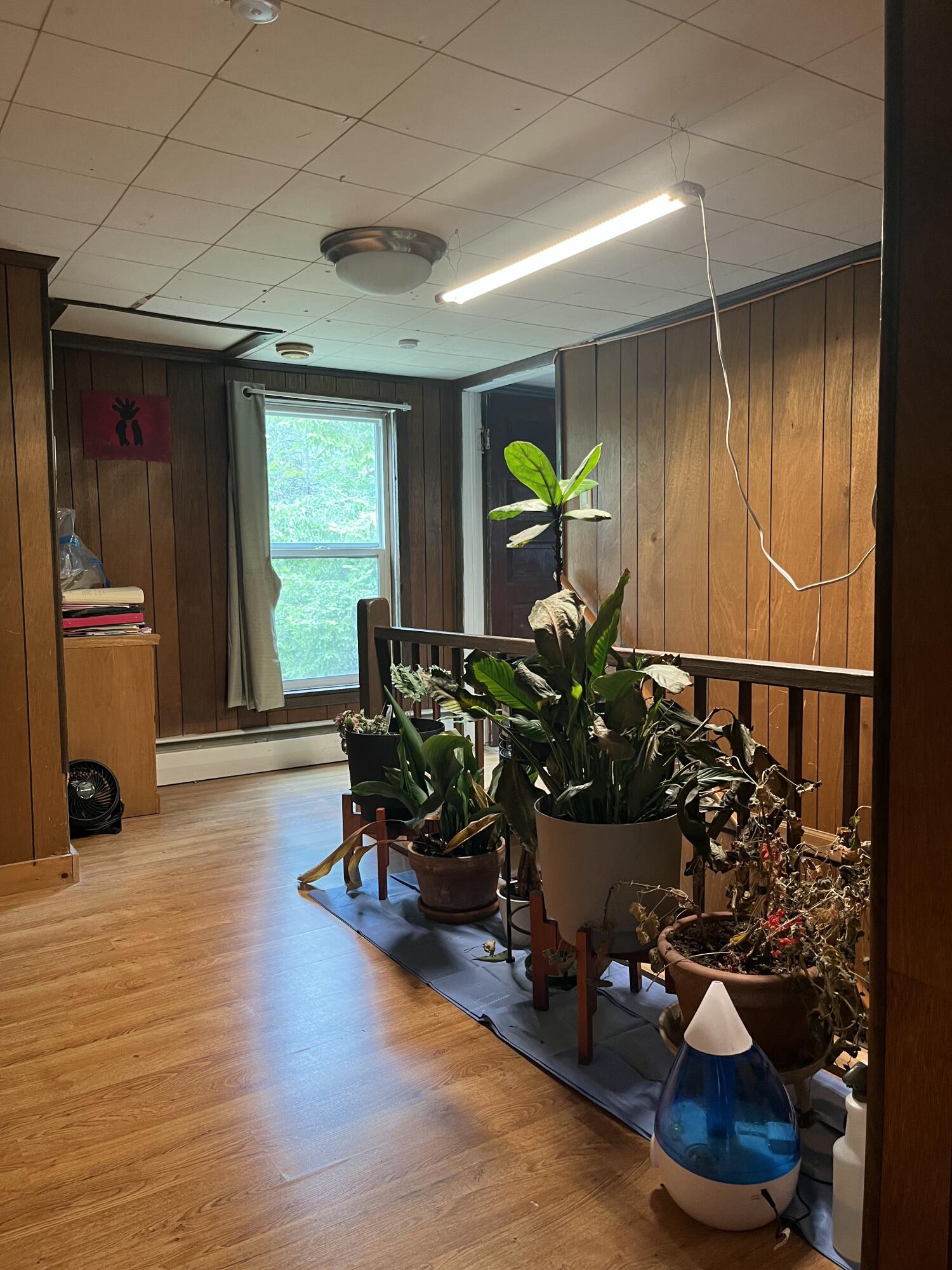 79 Street Route 186 Saranac Lake NY 12983