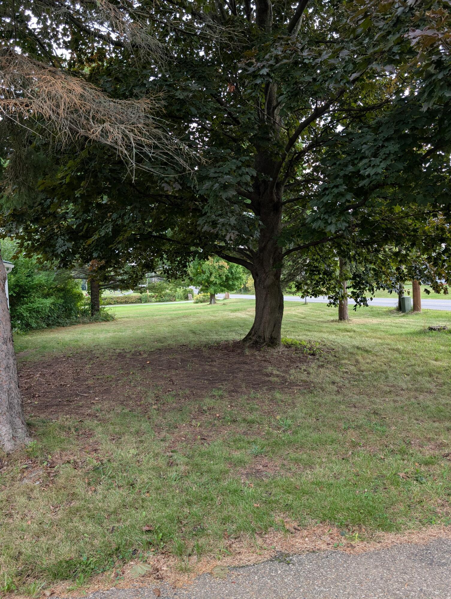 1238 Cumberland Head Road Plattsburgh NY 12901
