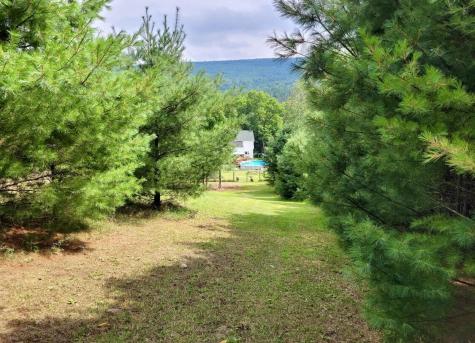 1080 Peasleeville Road Schuyler Falls NY 12985