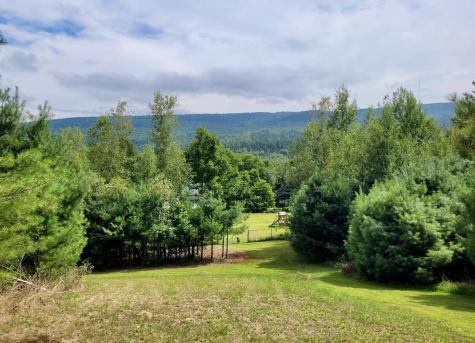 1080 Peasleeville Road Schuyler Falls NY 12985