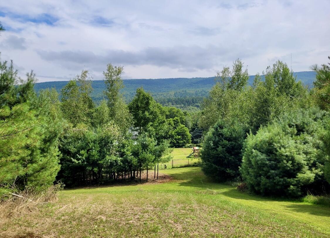 1080 Peasleeville Road Schuyler Falls NY 12985