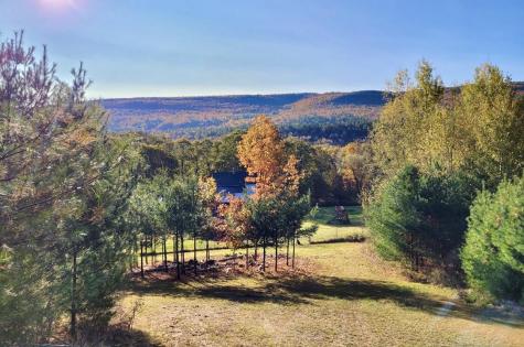 1080 Peasleeville Road Schuyler Falls NY 12985