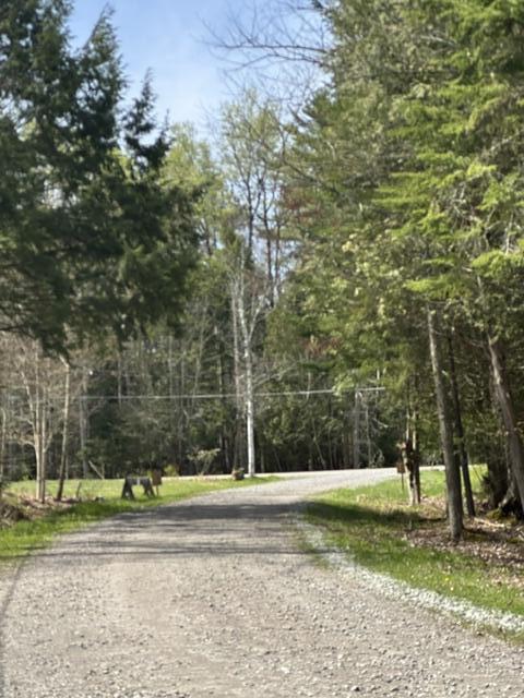 401 Lake Street Saranac Lake NY 12983