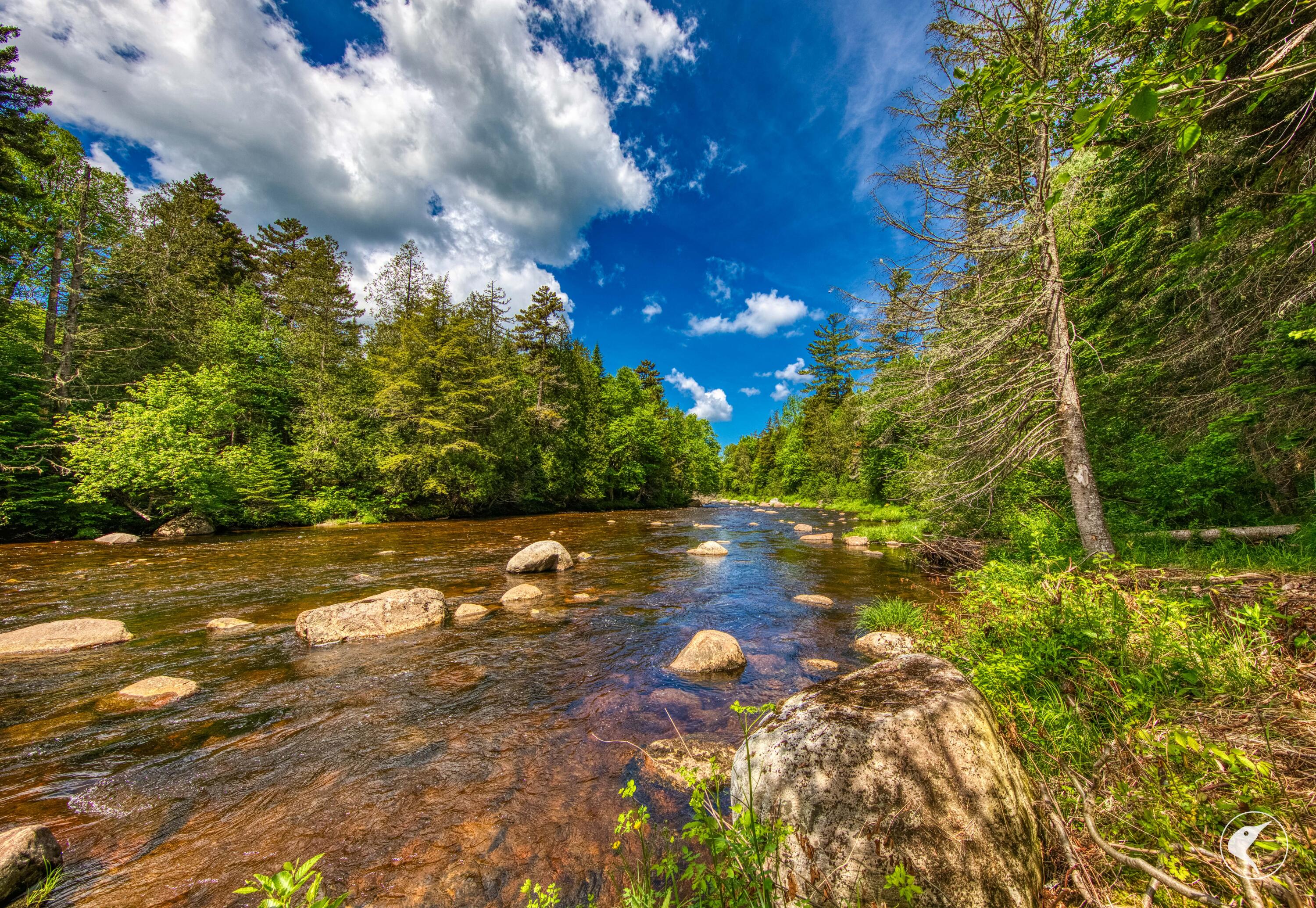 208 Adirondack Loj Road Lake Placid NY 12946