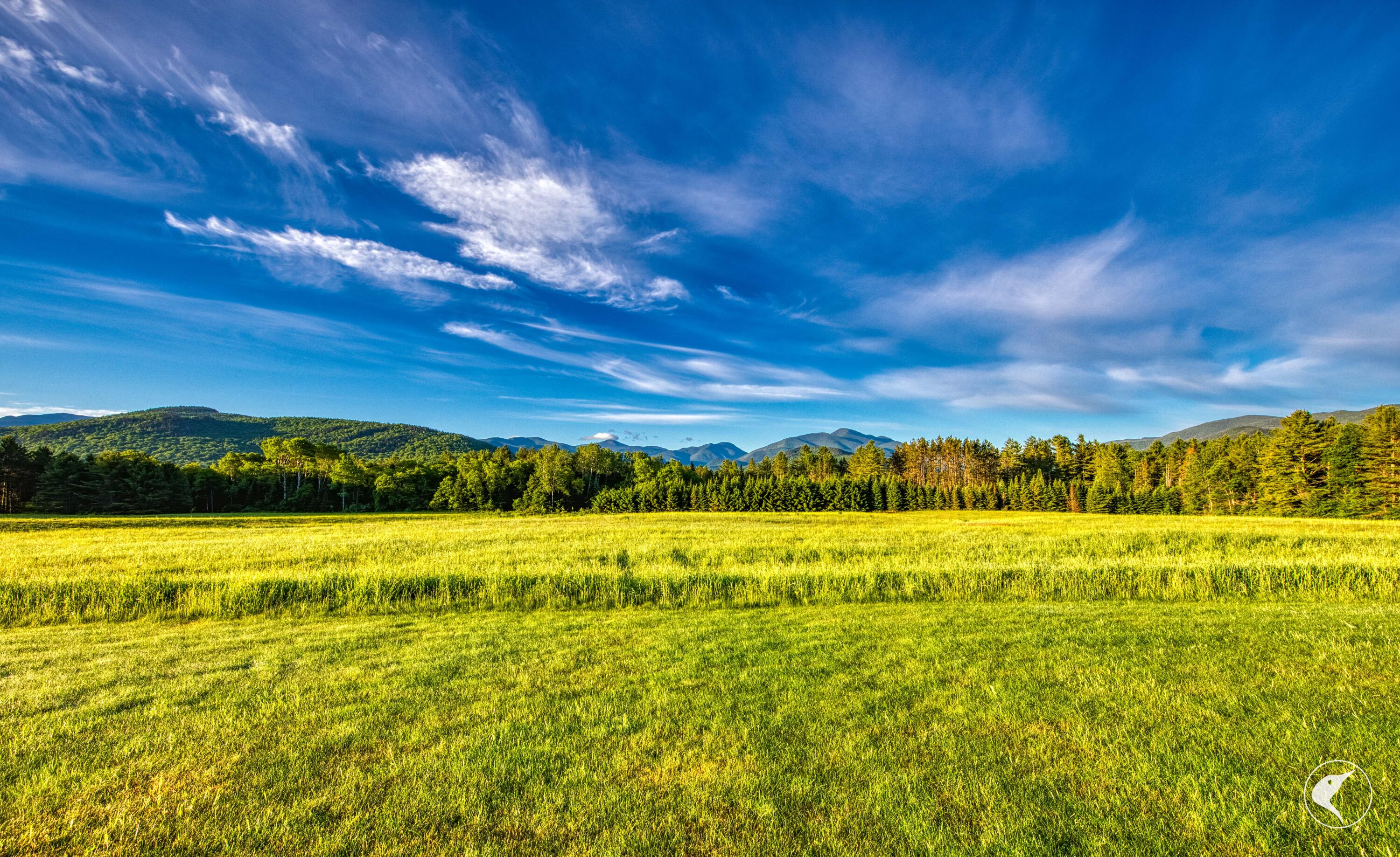 208 Adirondack Loj Road Lake Placid NY 12946