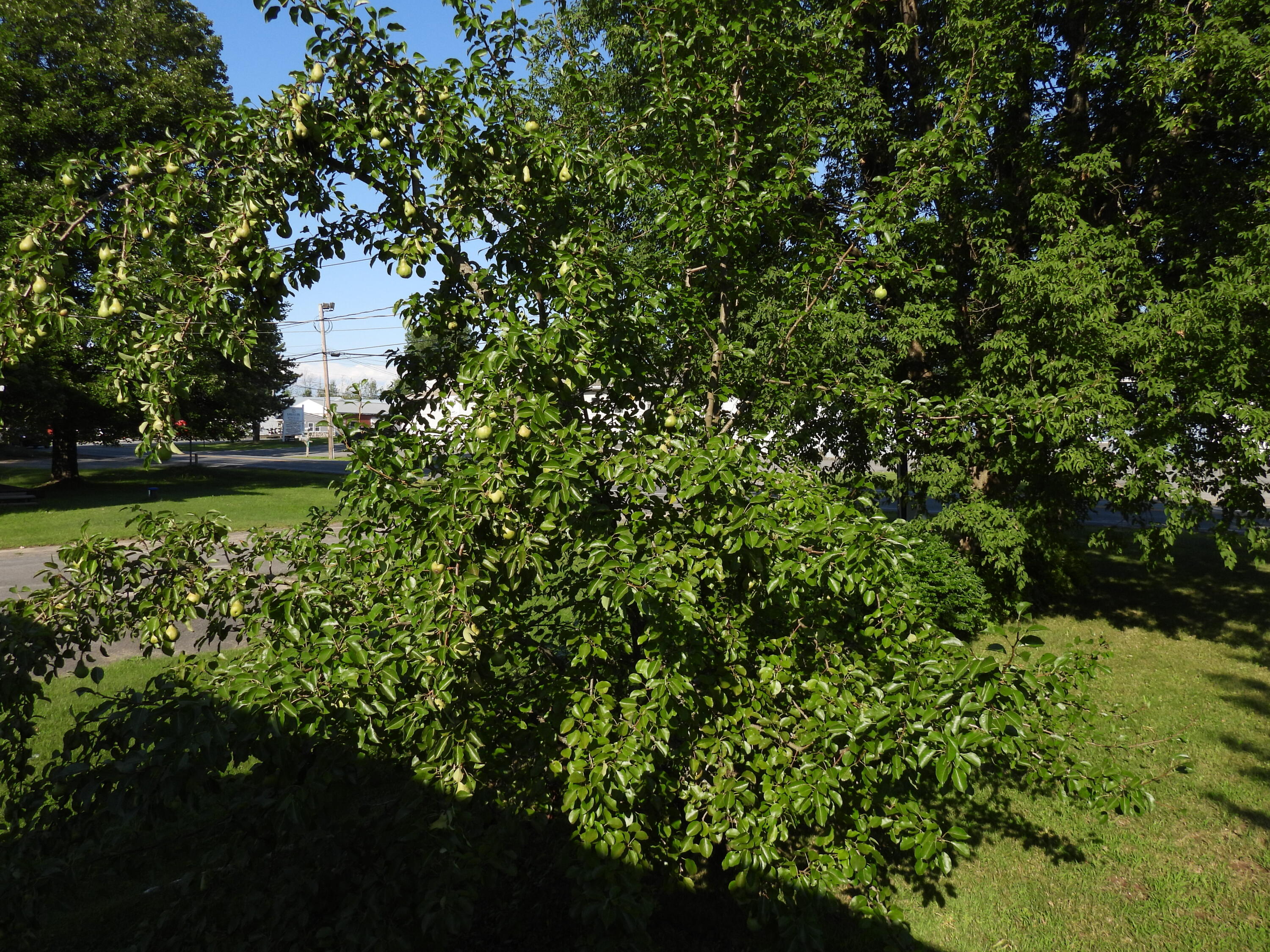 1071 Military Turnpike Plattsburgh NY 12901