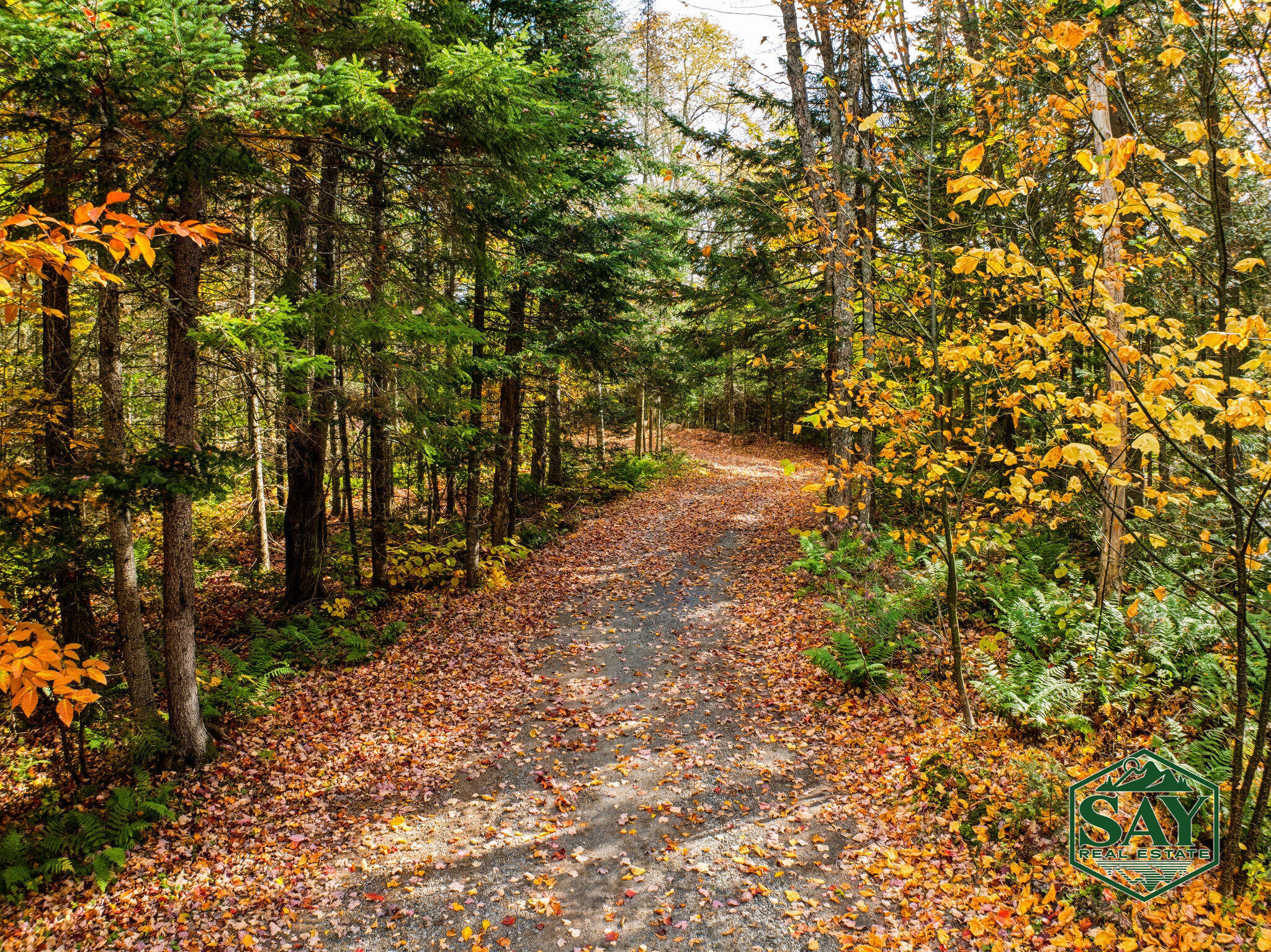 76 Saddleback Way Lake Placid NY 12946