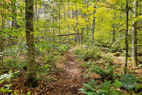 76 Saddleback Way Lake Placid NY 12946