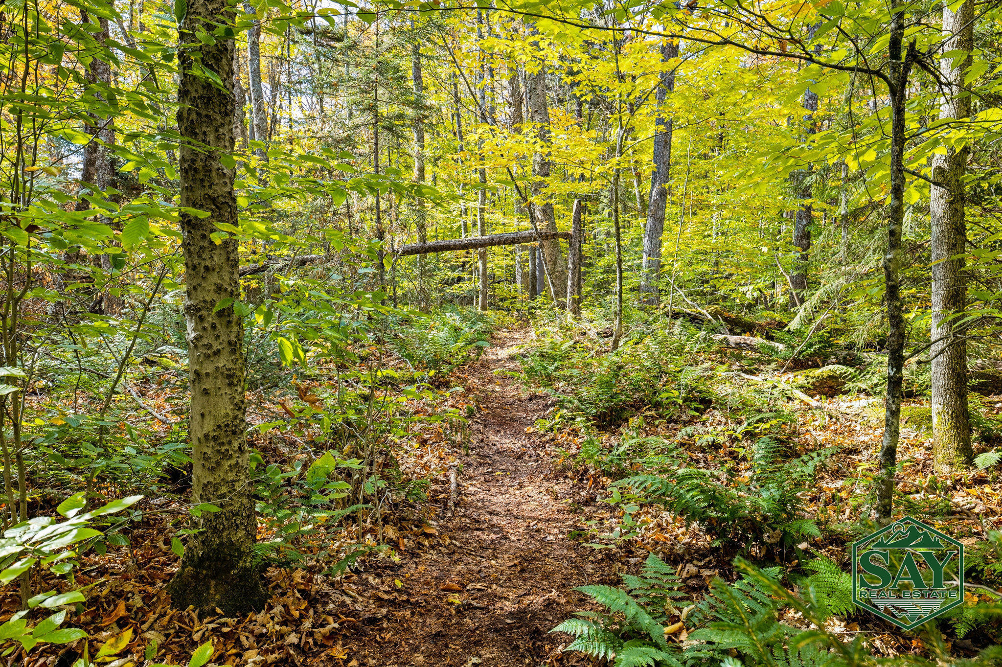 76 Saddleback Way Lake Placid NY 12946