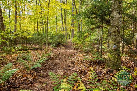 76 Saddleback Way Lake Placid NY 12946