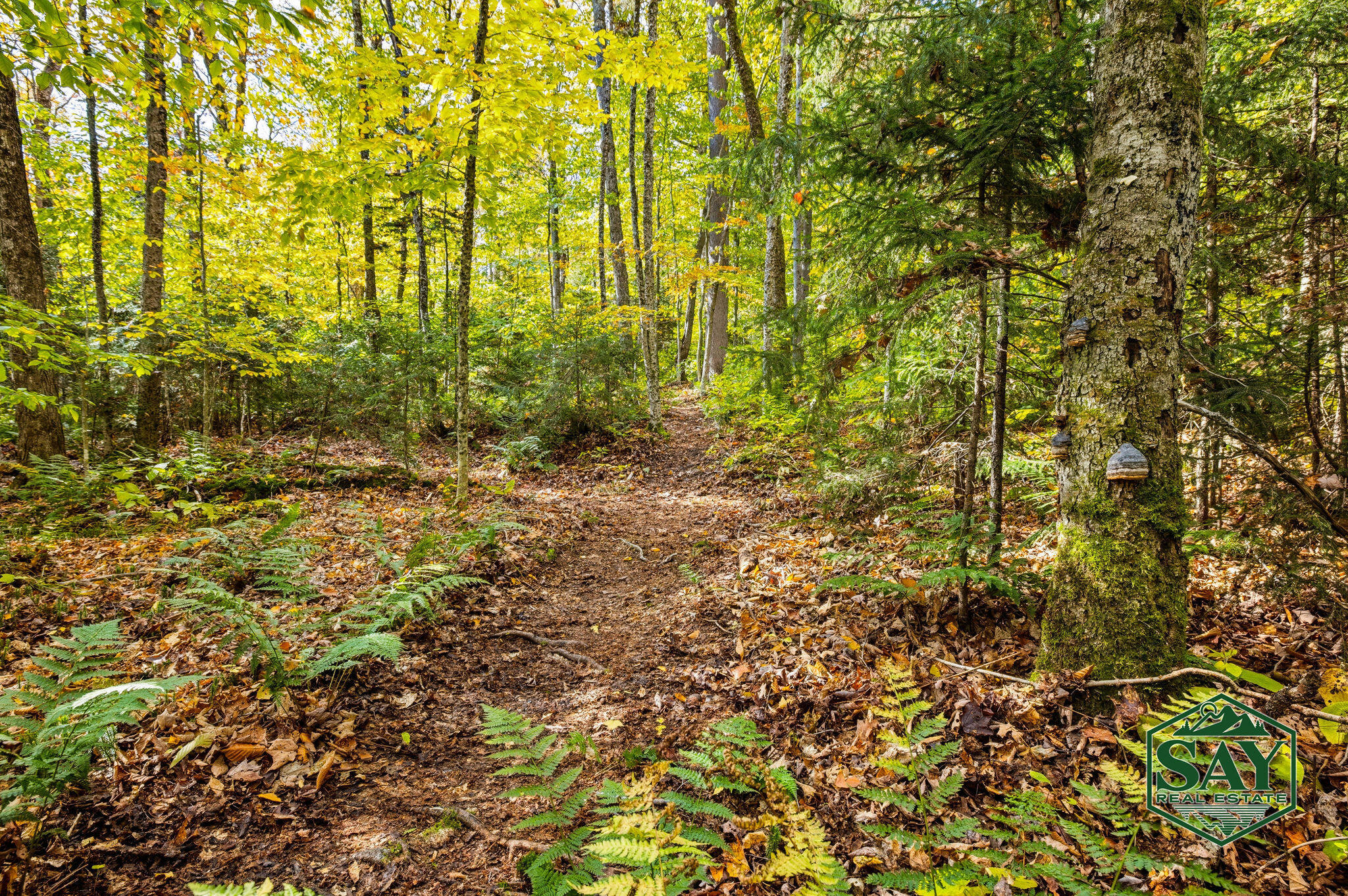 76 Saddleback Way Lake Placid NY 12946
