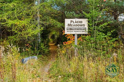 76 Saddleback Way Lake Placid NY 12946