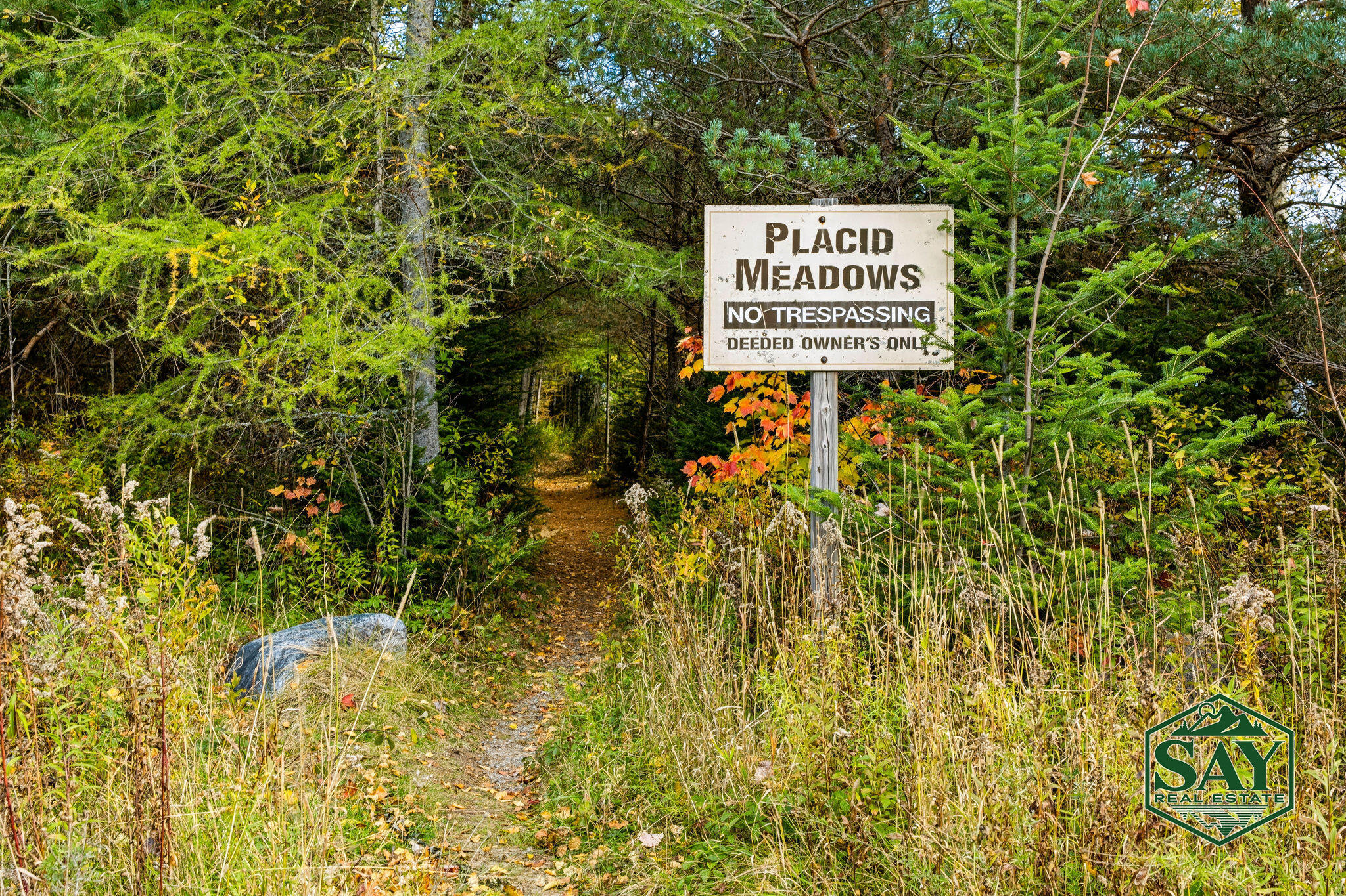 76 Saddleback Way Lake Placid NY 12946