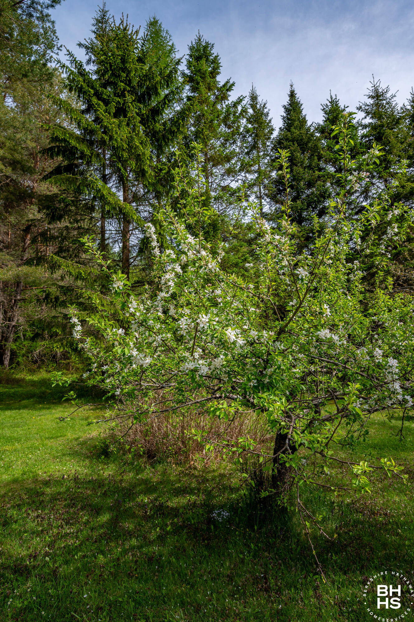 43 American Way Lake Placid NY 12946