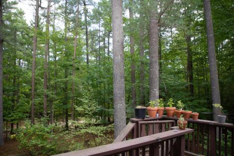 60 Gooseberry Lane Jay NY 12941