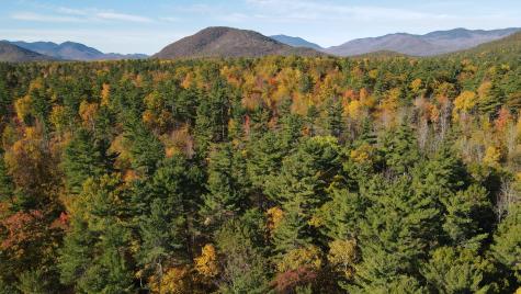 60 Gooseberry Lane Jay NY 12941