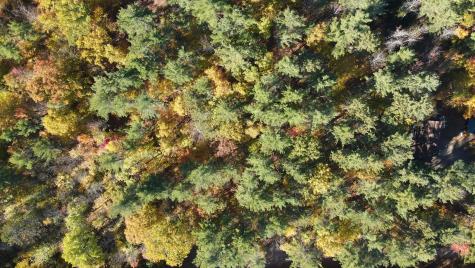 60 Gooseberry Lane Jay NY 12941