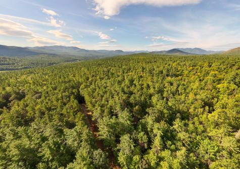 60 Gooseberry Lane Jay NY 12941