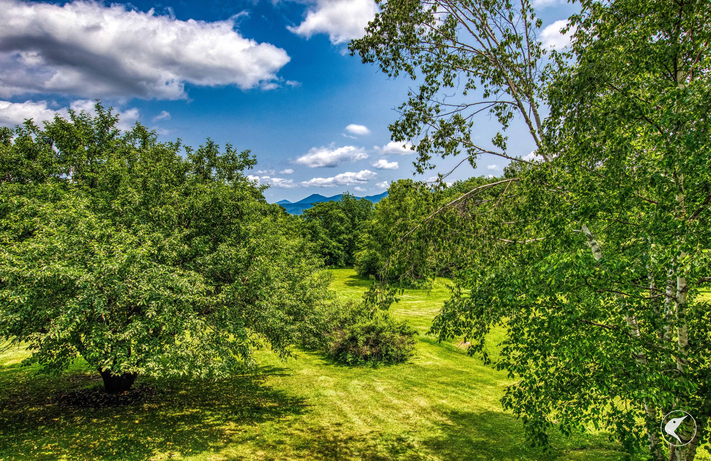 61 Mount Pisgah Lane Saranac Lake NY 12983