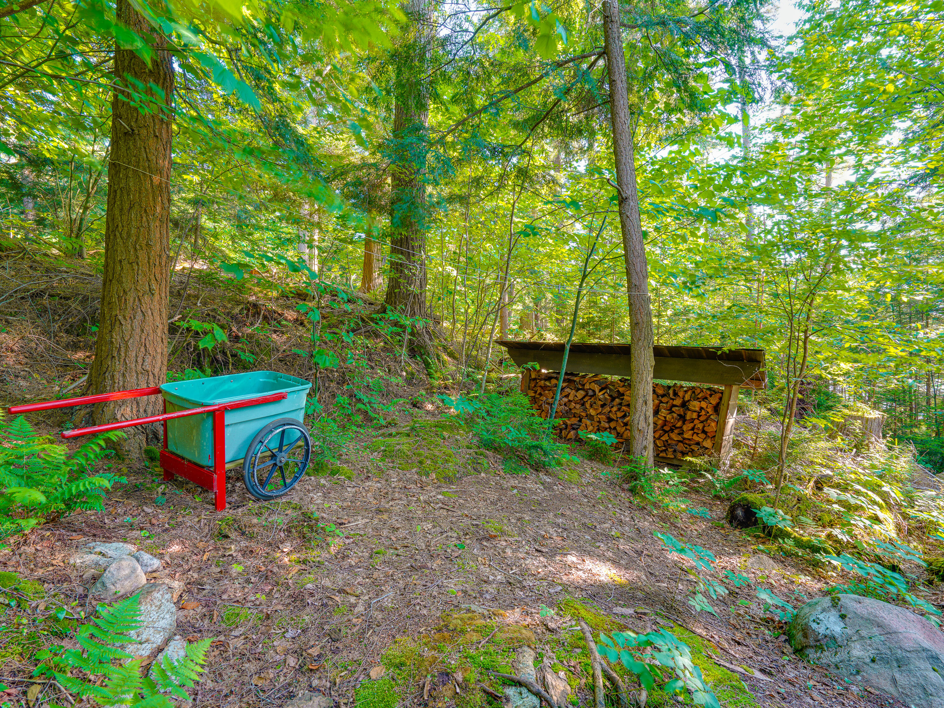 7 Bluff Island Tupper Lake NY 12986