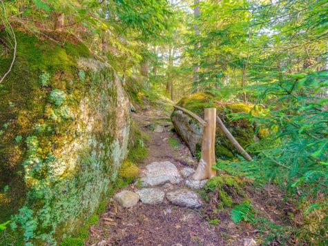 7 Bluff Island Tupper Lake NY 12986