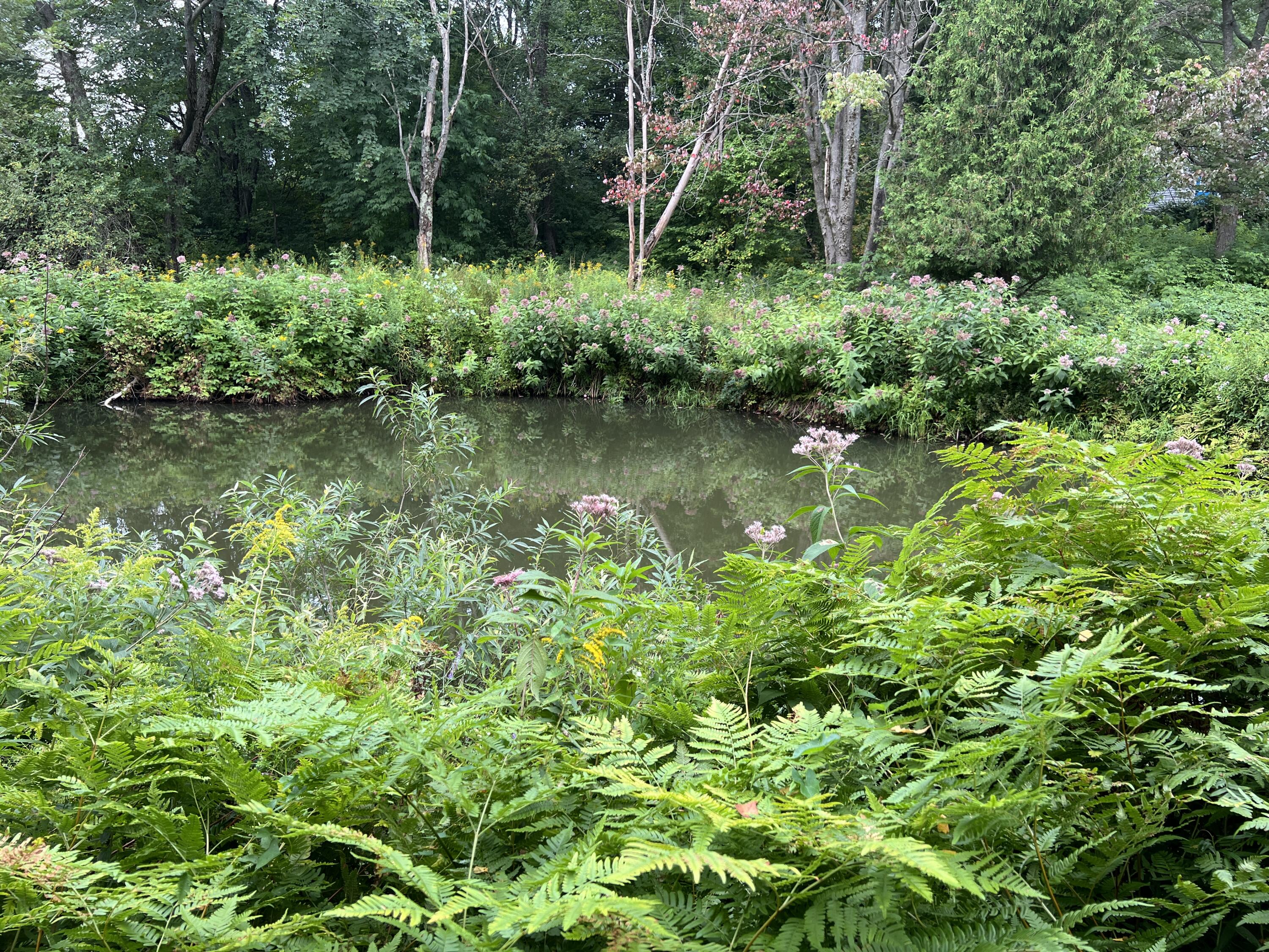 1451 County Route 24 Chateaugay NY 12920