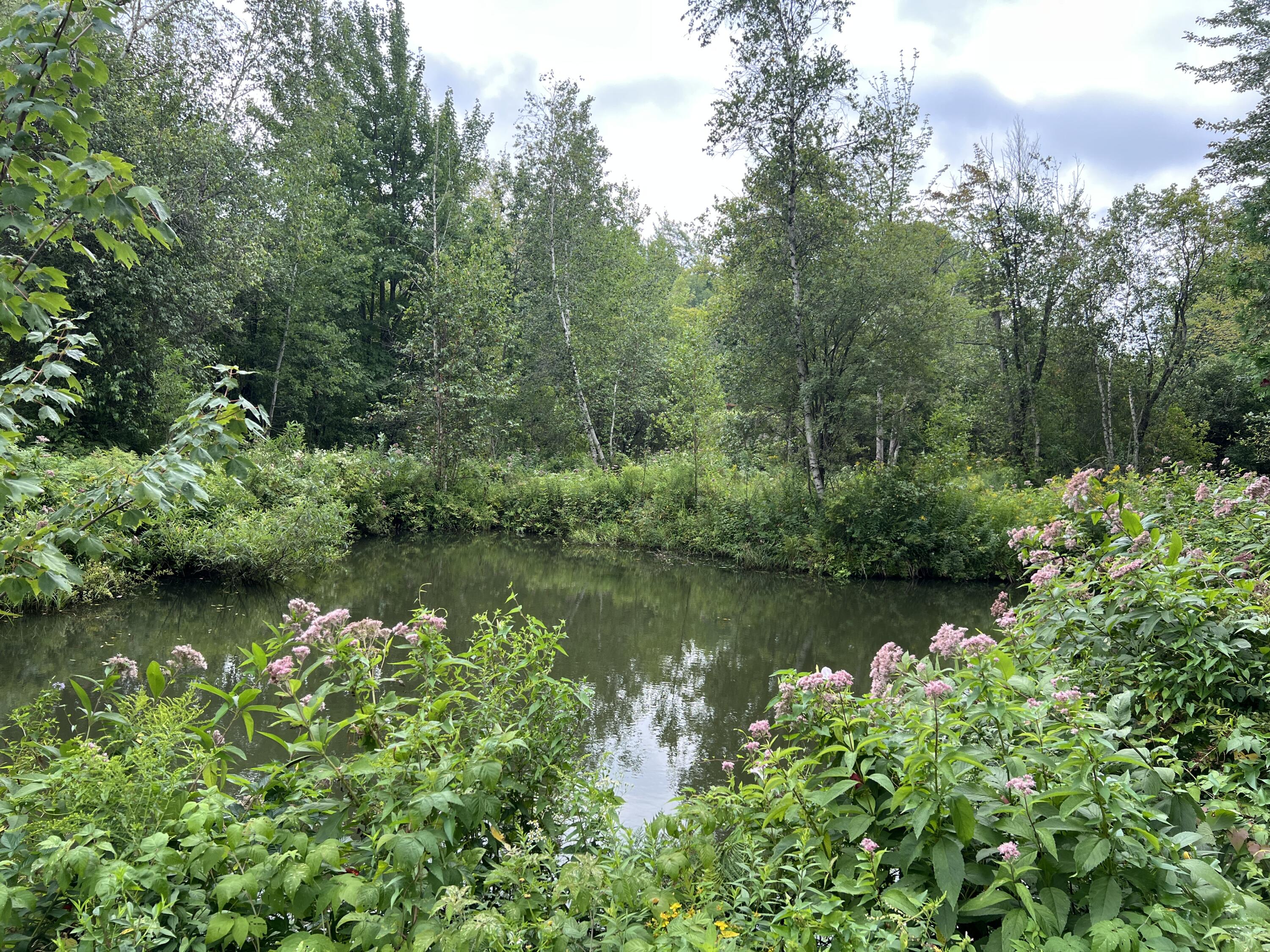 1451 County Route 24 Chateaugay NY 12920