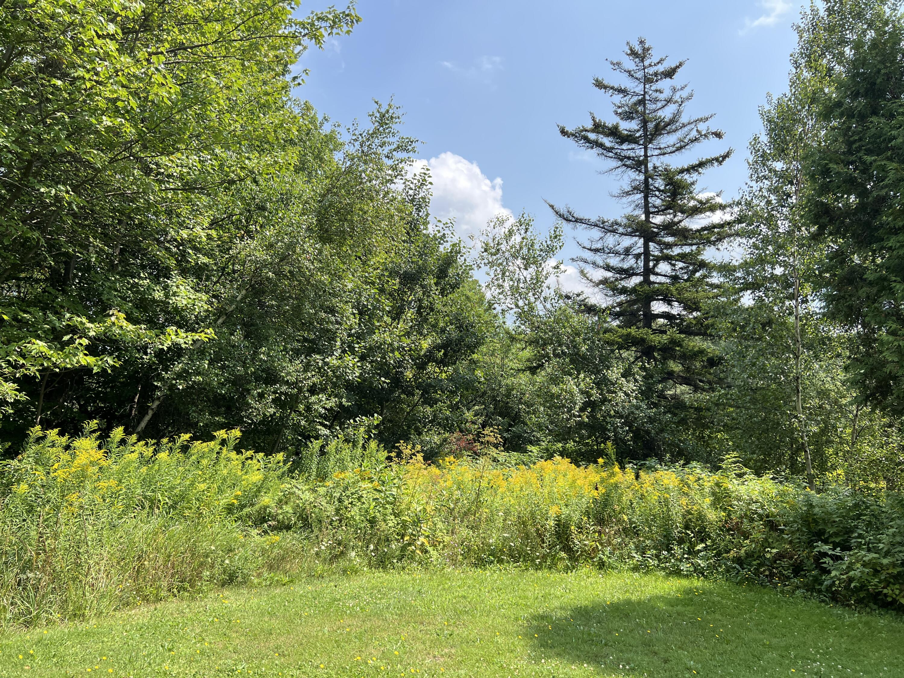 1451 County Route 24 Chateaugay NY 12920