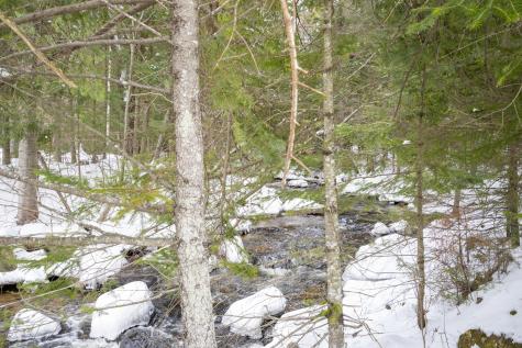 896 Standish Road Saranac NY 12981