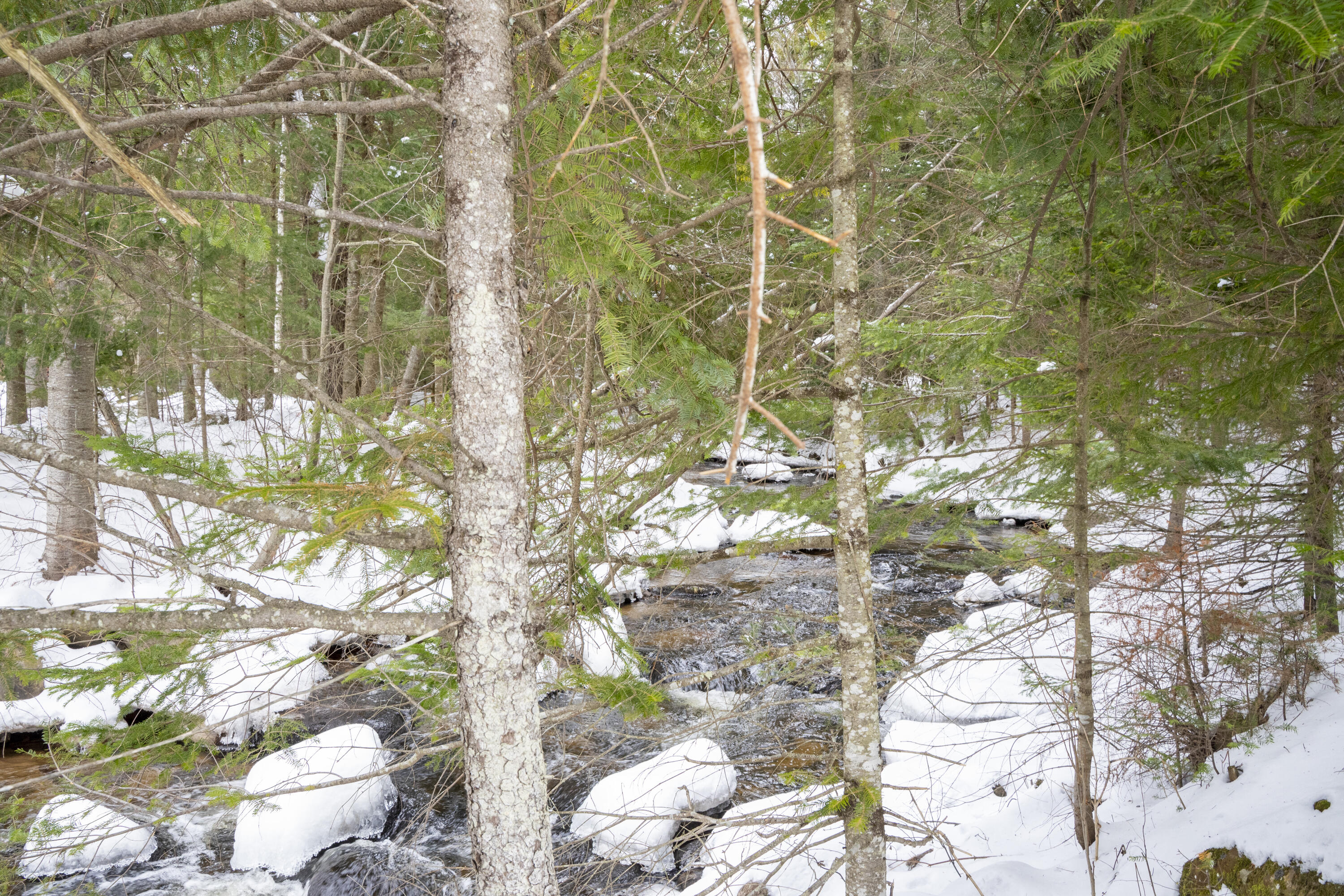 896 Standish Road Saranac NY 12981
