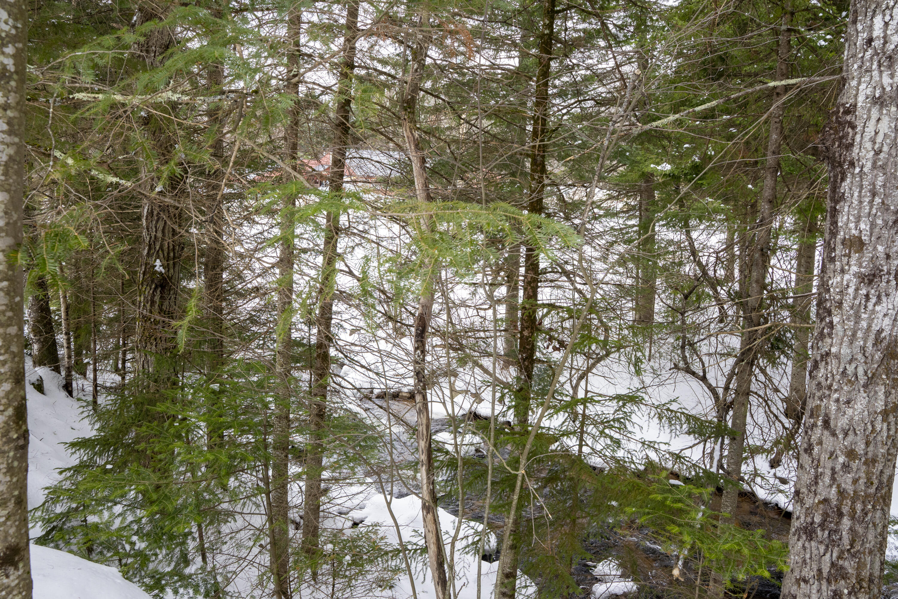 896 Standish Road Saranac NY 12981
