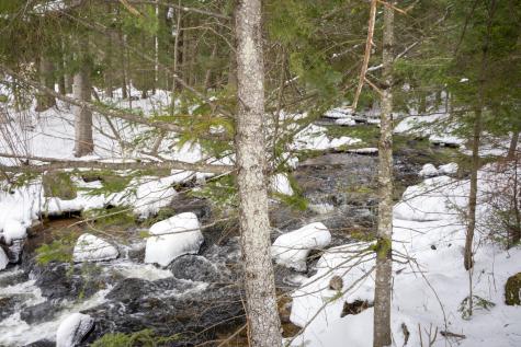 896 Standish Road Saranac NY 12981