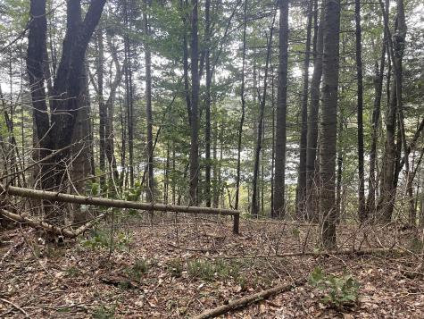 585 Trim Road St. Regis Falls NY 12980