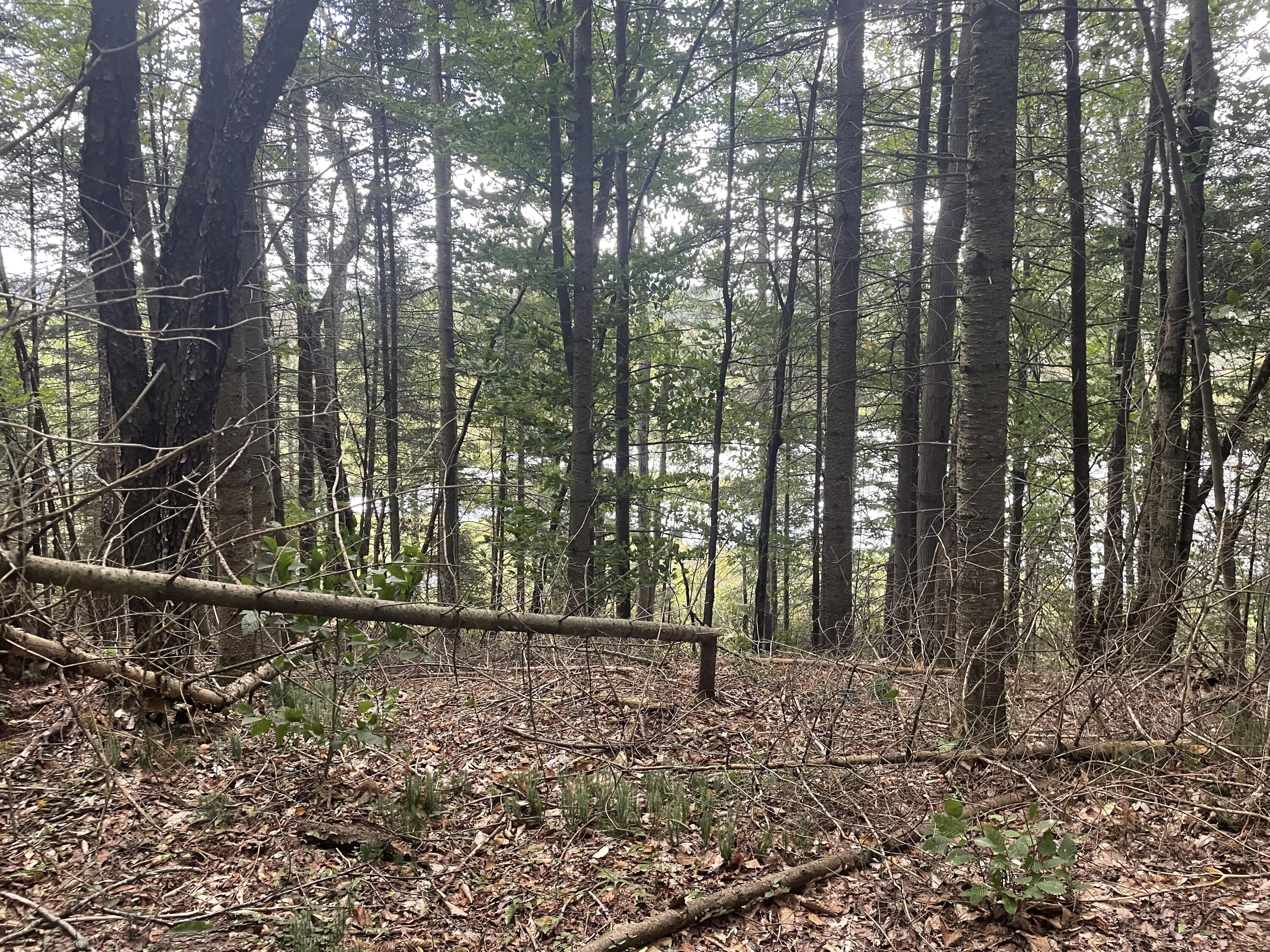 585 Trim Road St. Regis Falls NY 12980
