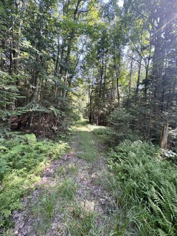 1690 County Route 24 Chateaugay NY 12920
