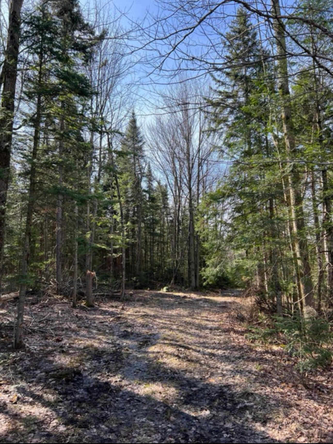 1690 County Route 24 Chateaugay NY 12920