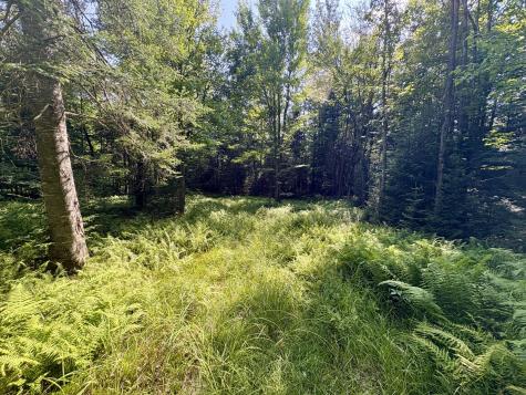 1690 County Route 24 Chateaugay NY 12920