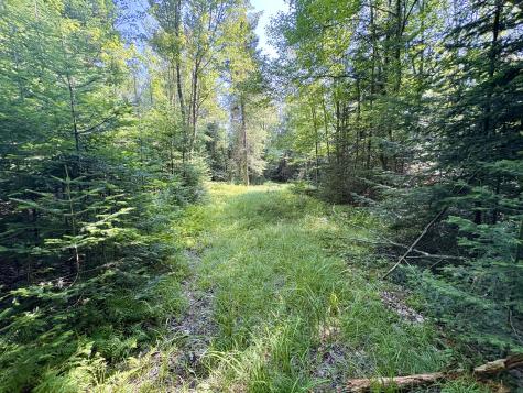 1690 County Route 24 Chateaugay NY 12920