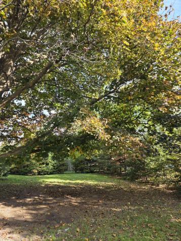 7 Holland Avenue Plattsburgh NY 12901