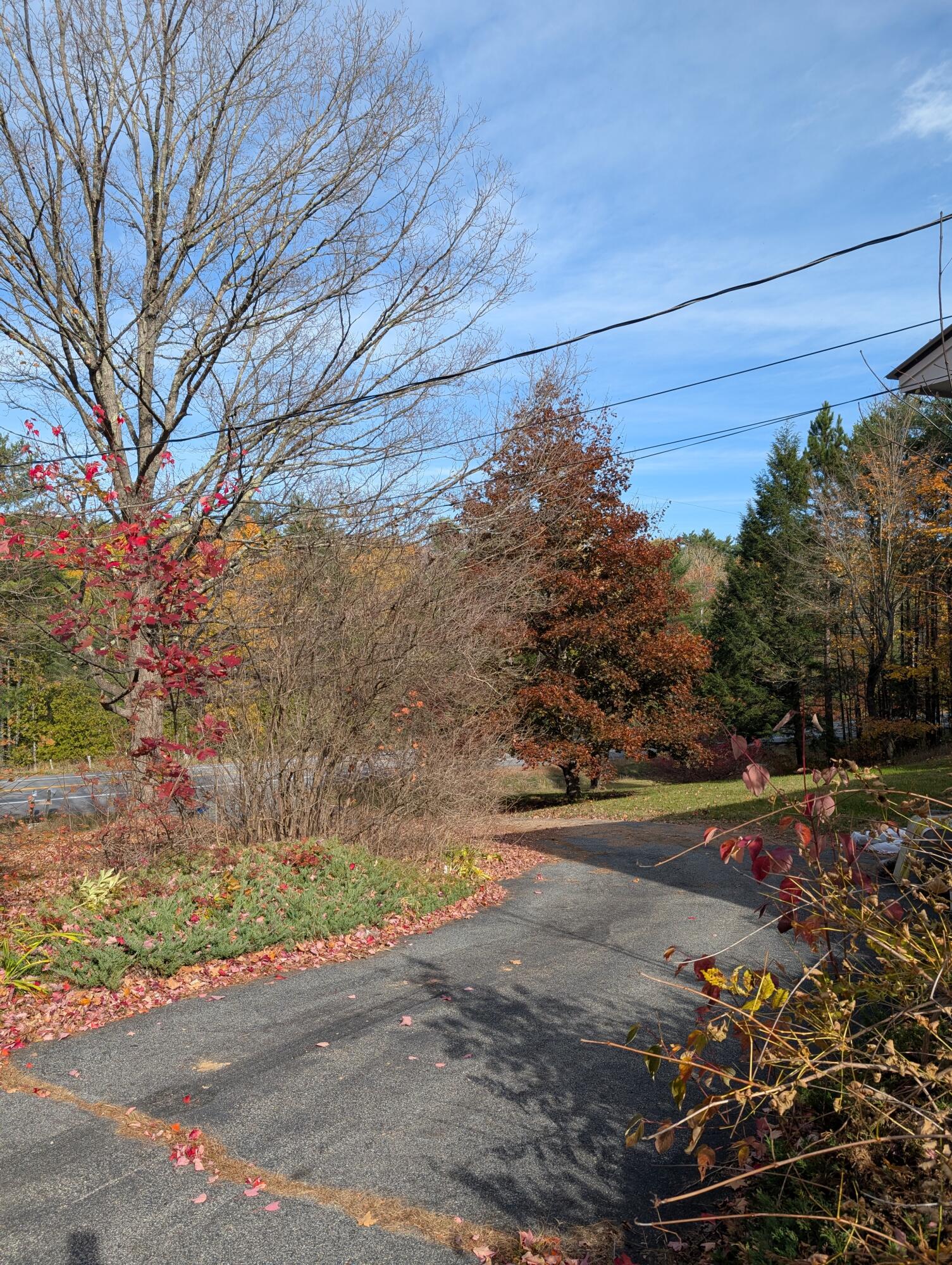 7707 Nys Route 9n Elizabethtown NY 12932