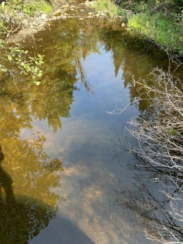 407 Panther Lane Ellenburg Center NY 12934