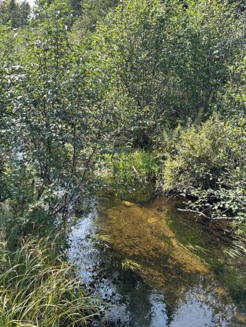 407 Panther Lane Ellenburg Center NY 12934